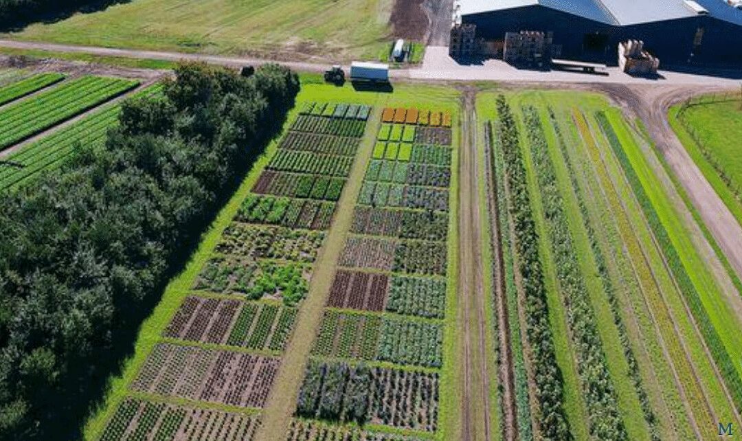 Maintenance Planner reduces service costs at Axel Månsson