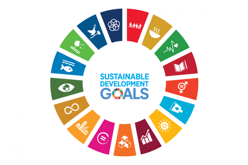 sdg-wheel-landscape-white-bg_en