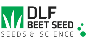DLF logo | Trendlog.io